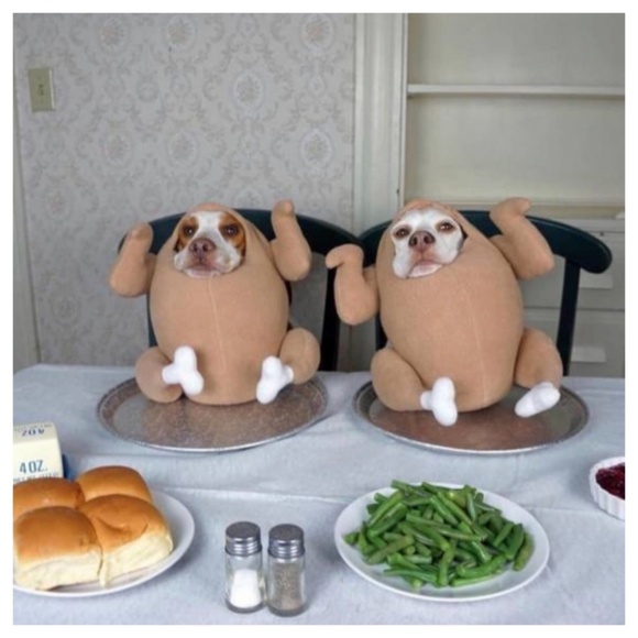 11/26 WICKED WEDNESDAY VINTAGE FASHION SHARE GROUP - Picture 13 of 16